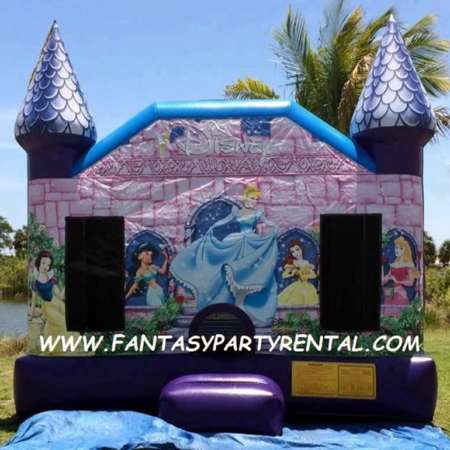 Disney Princess Collection 15x15