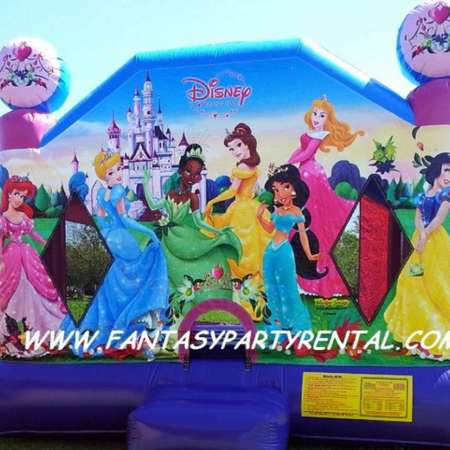Disney Princess Collection 13x13 with Princess Tiana