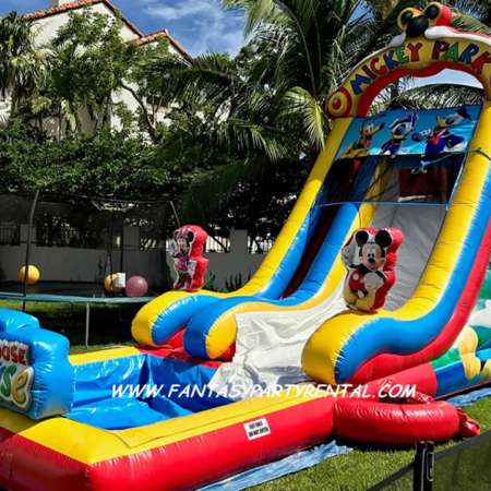 Mickey Park single lane Slide 22ft high