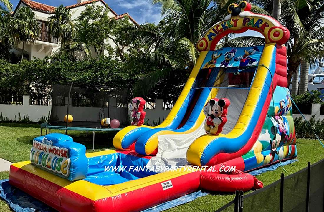 Mickey Park single lane Slide 22ft high