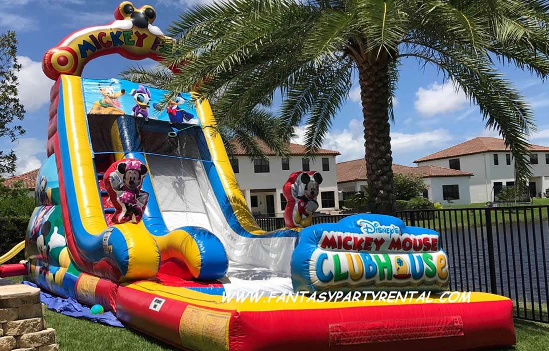 Mickey Park single lane Slide 22ft high