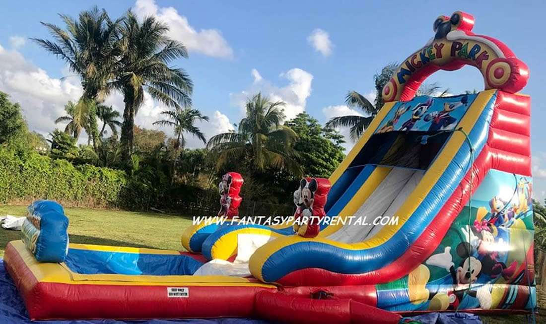 Mickey Park single lane Slide 22ft high