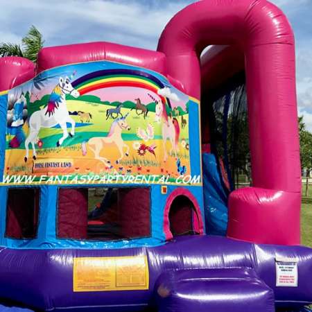 Horse Fantasy Land theme Pink and purple dream backyard combo 4 in 1. Bounce, basketball hoop, climb, dry slide.