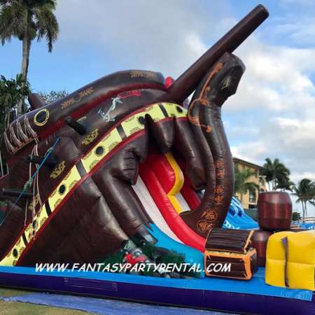 Treasure Hunt Dual Lane Dry slide, 24ft High